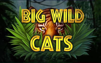 Big-Wild-Cats