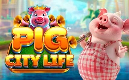 Pig-City-Life